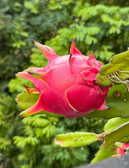 ?!label-Indicative photo