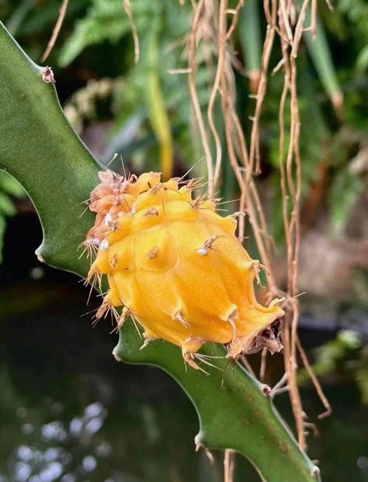 ?!label-Indicative photo