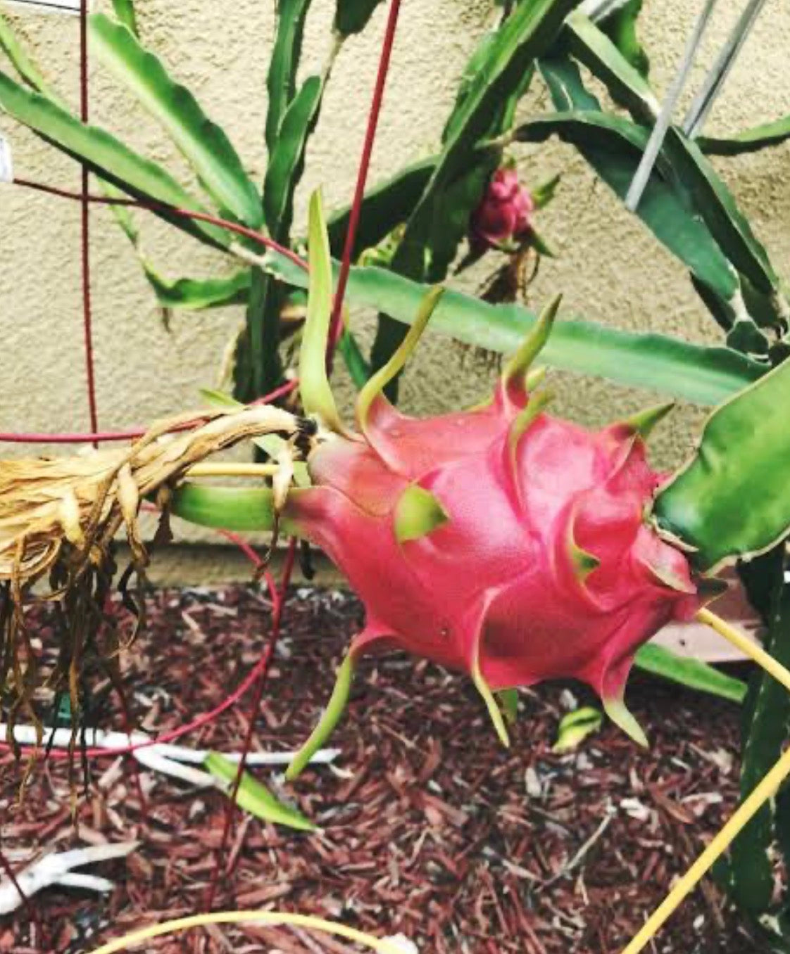 ?!label-Indicative photo