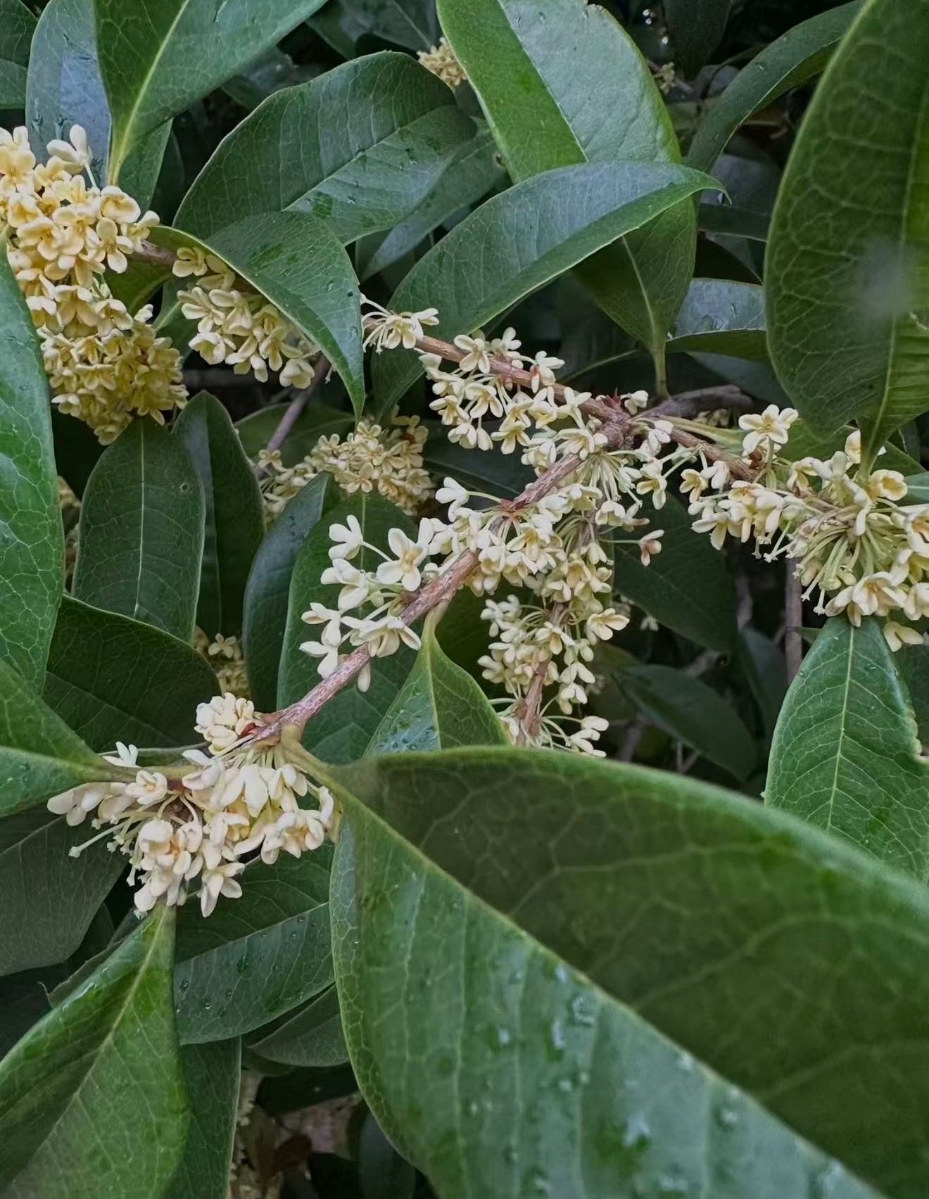 ?!label-Indicative photo