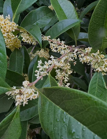 ?!label-Indicative photo