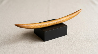Handcrafted Curved Ancient Swamp Kauri Hair Stick/Hairpin "The Moon"