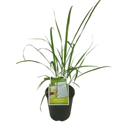 Lemongrass Lemon Kist™ 1.9ltr