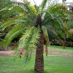 ?!label-Indicative photo