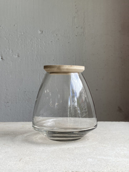 Nymph terrarium