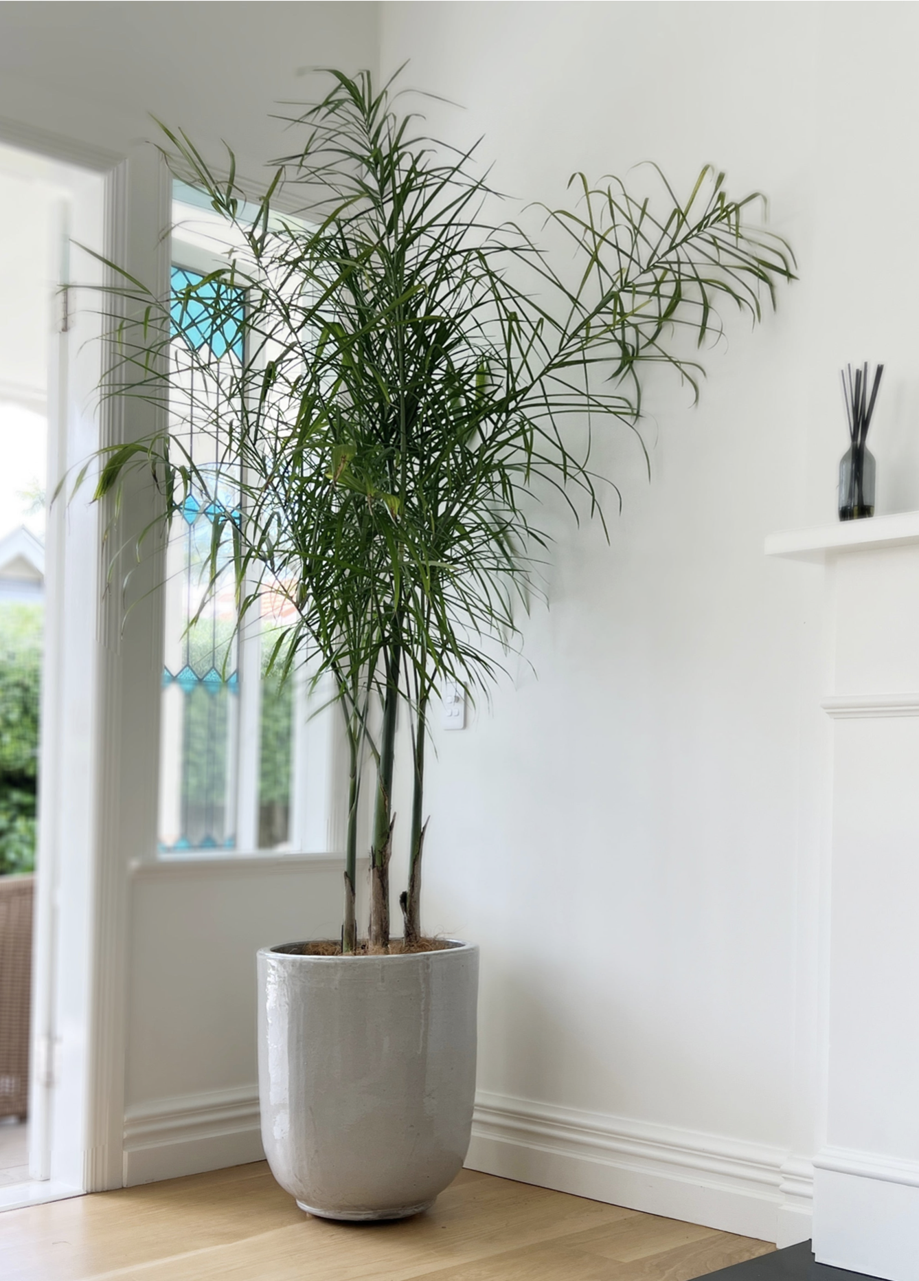 Pho Planter