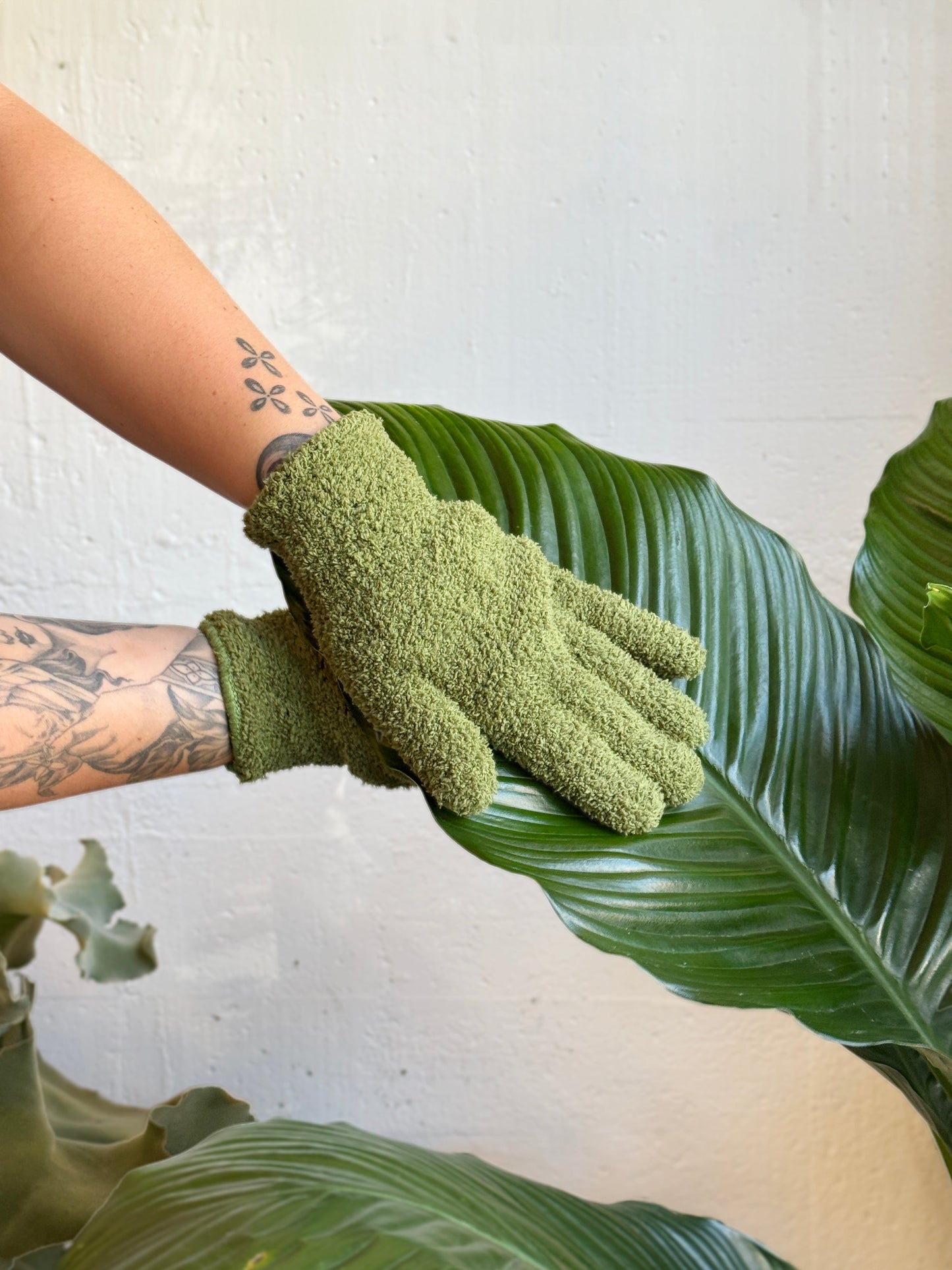 Plant Dust Gloves