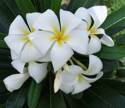 ?!label-Indicative photo