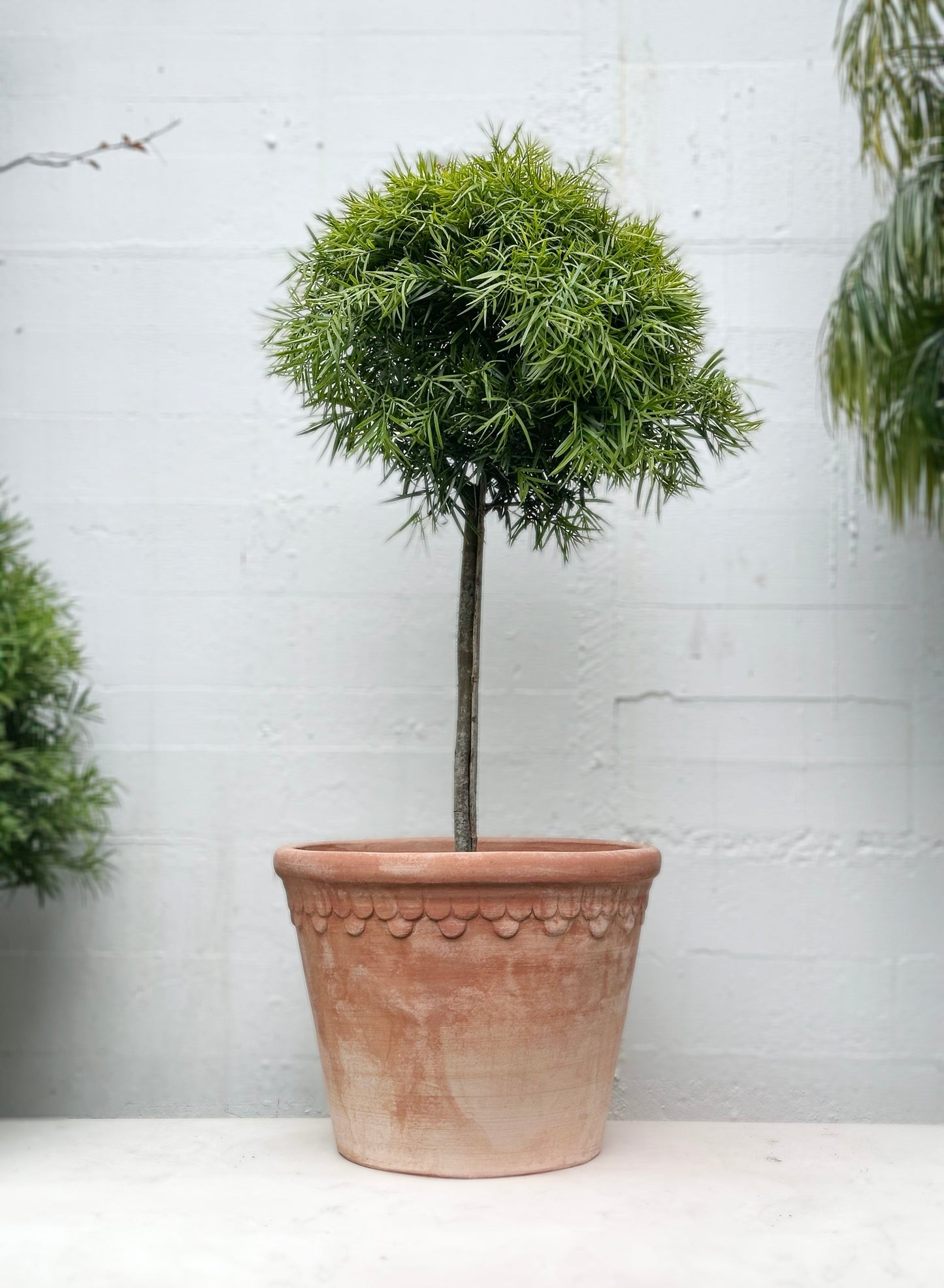 'Københavner' Pot & Saucer