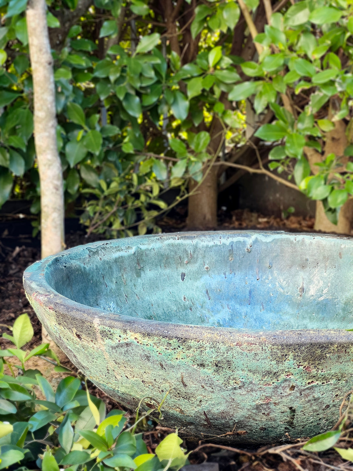 Pond Bowl