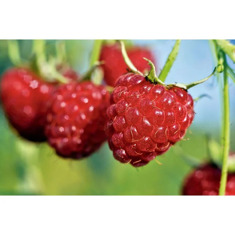 ?!label-Indicative photo