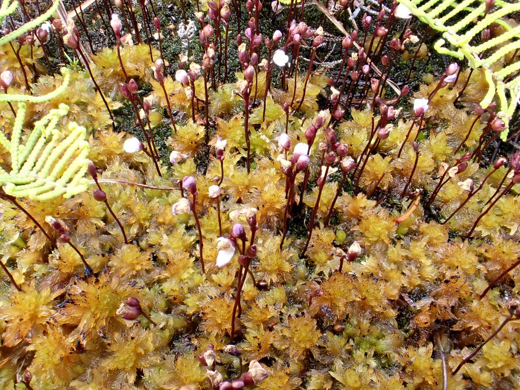 ?!label-Indicative photo