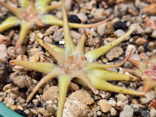 ?!label-Indicative photo