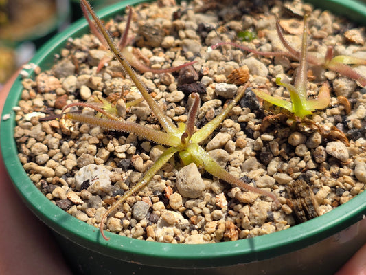 ?!label-Indicative photo