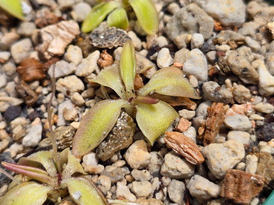 ?!label-Indicative photo