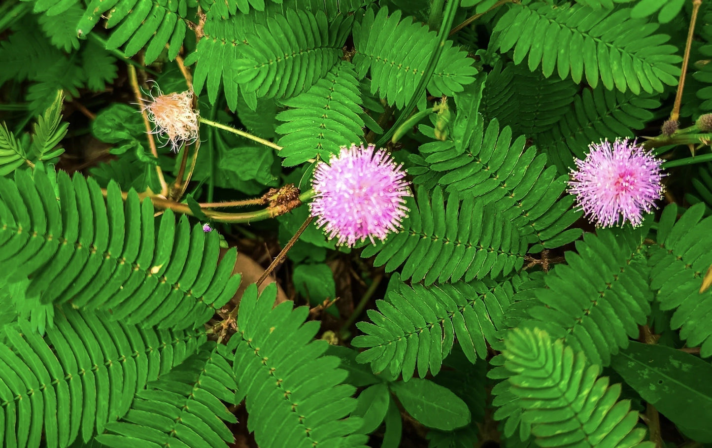 ?!label-Indicative photo