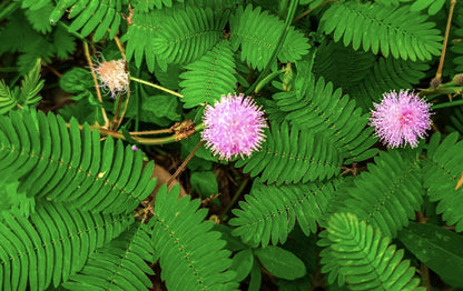 ?!label-Indicative photo