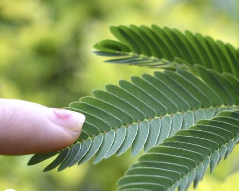 ?!label-Indicative photo