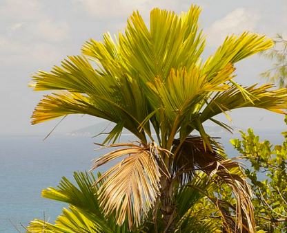 ?!label-Indicative photo