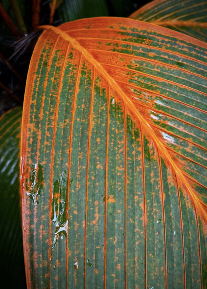 ?!label-Indicative photo