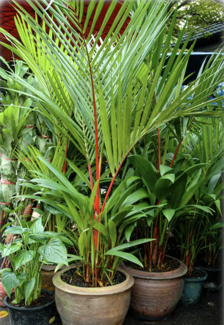 ?!label-Indicative photo