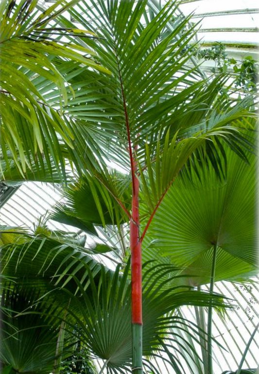 ?!label-Indicative photo