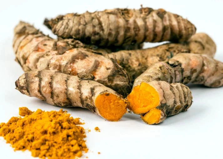 El Tumeric Turmeric – Jungle Story