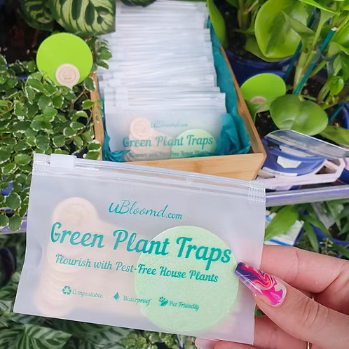 uBloomd Green Insect Sticky Traps