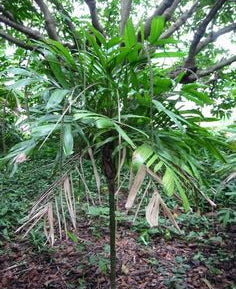 ?!label-Indicative photo