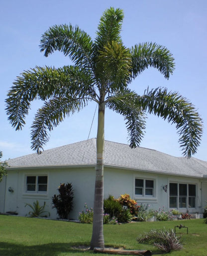 ?!label-Indicative photo